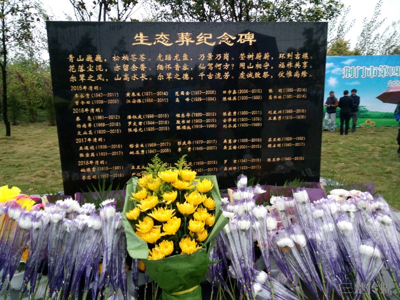 IMG_20180405_093453.jpg