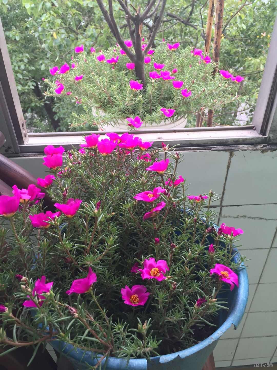 ΢ͼƬ_20180818183104.jpg