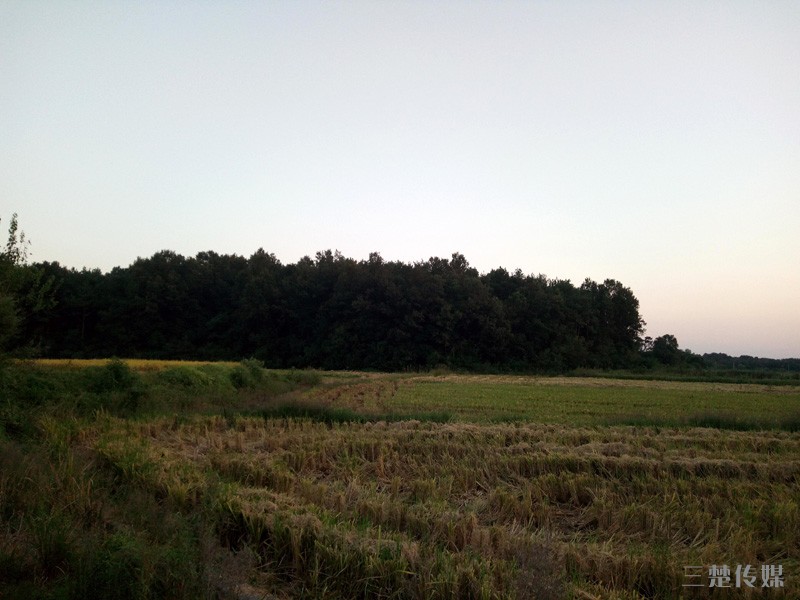 IMG_20180908_184111.jpg