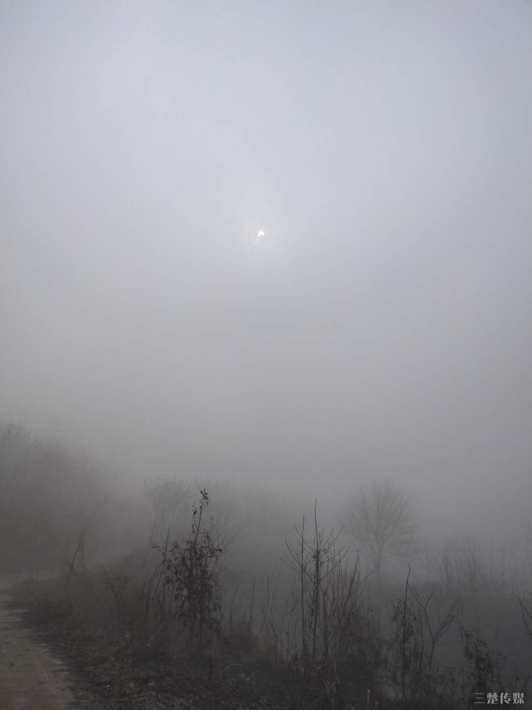 ΢ͼƬ_20190222140054.jpg
