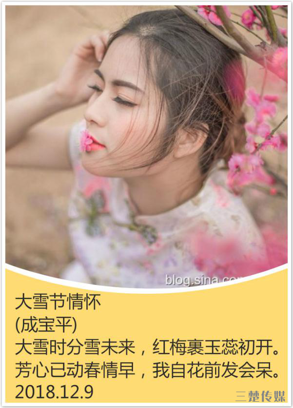 FA93C219-3CCD-470F-9997-190CF33592CA.png