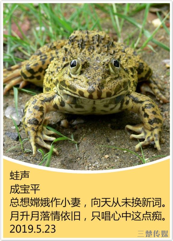 ʫͼ